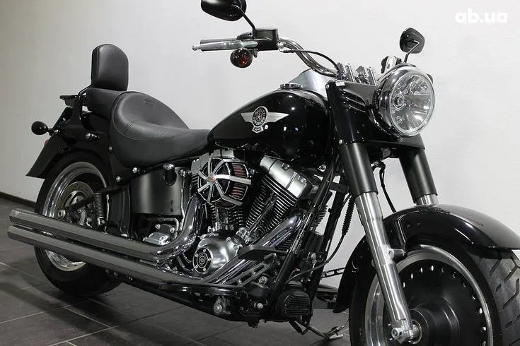 Harley-Davidson FLSTFB  Image 1