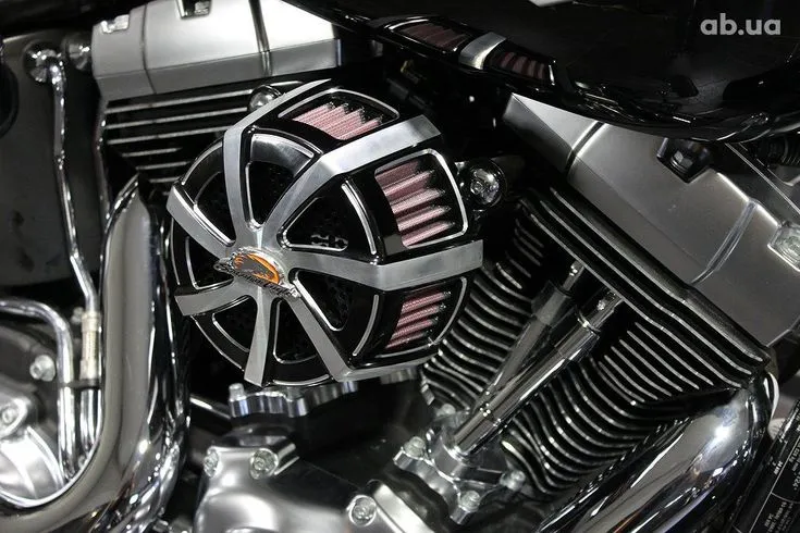 Harley-Davidson FLSTFB  Image 7